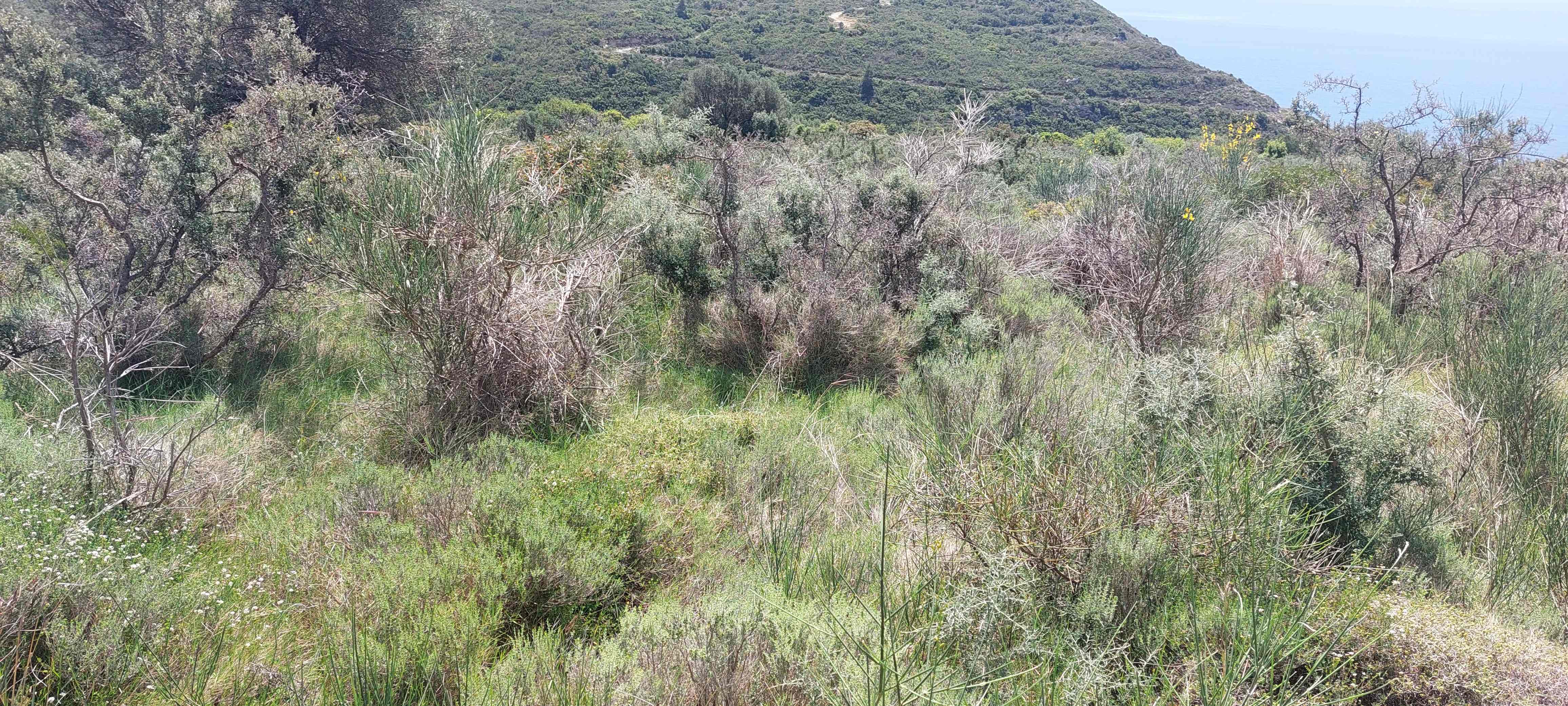 photo1