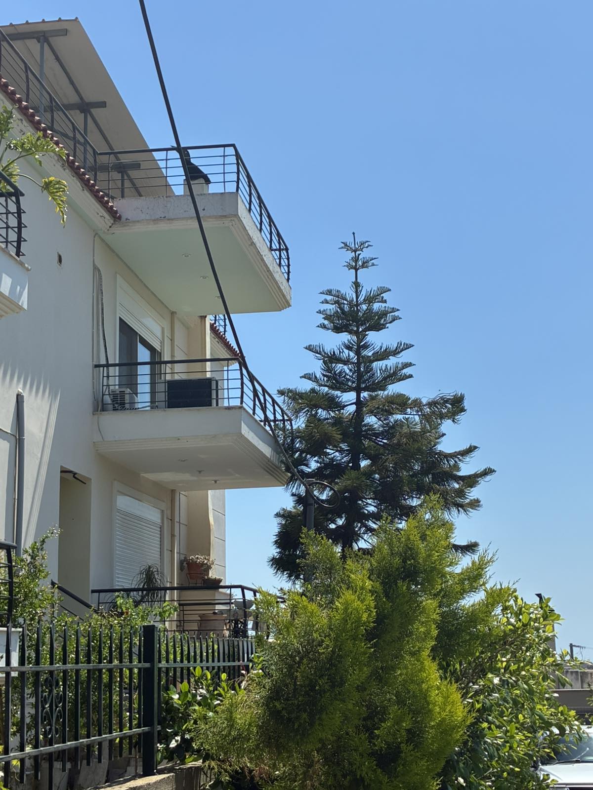photo0