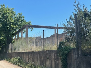 photo1