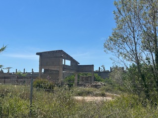 photo2