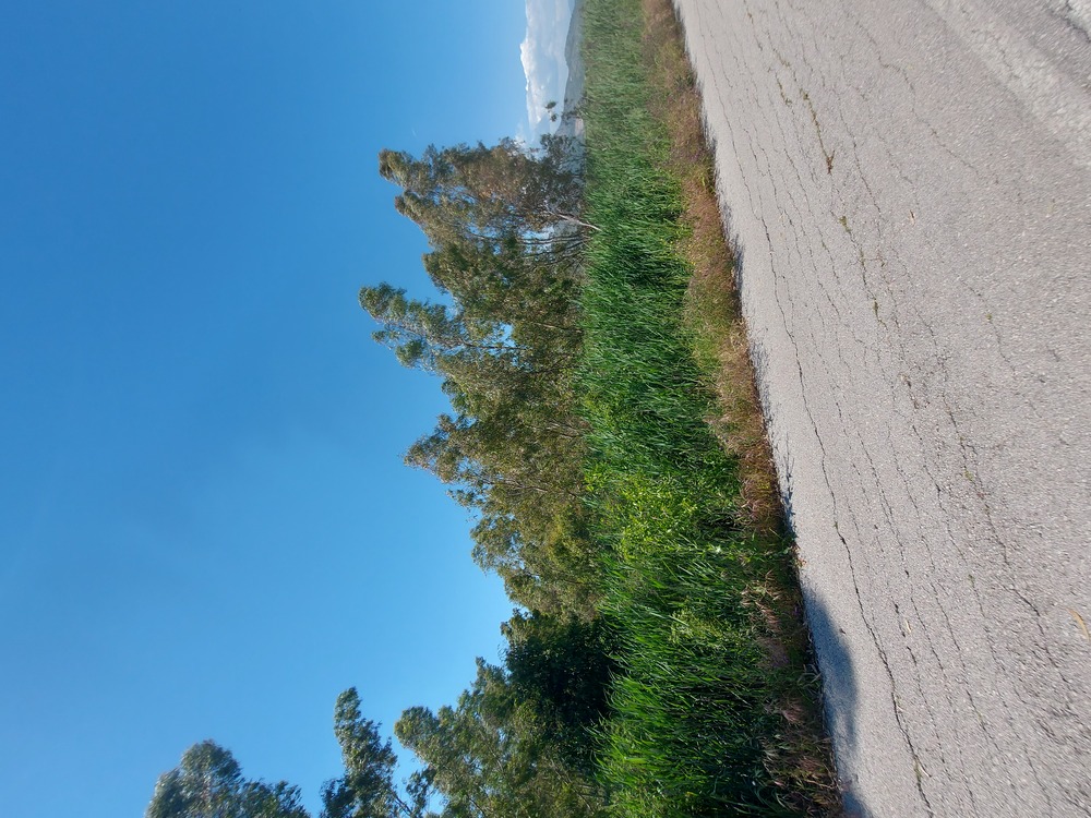 photo0