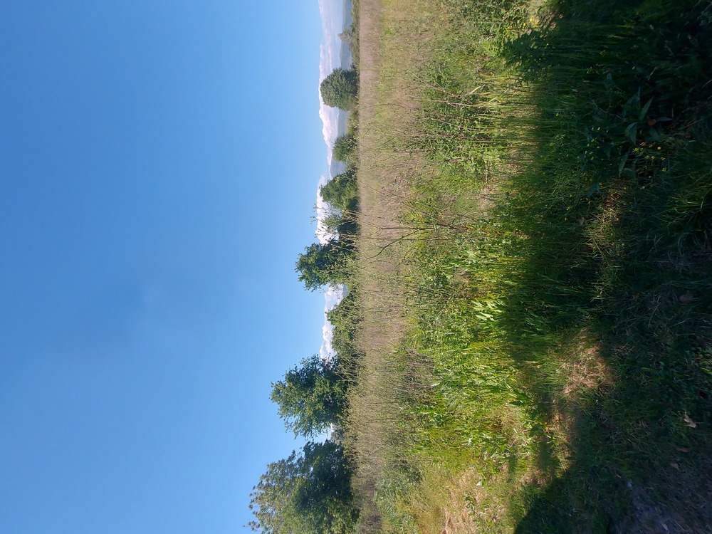 photo0