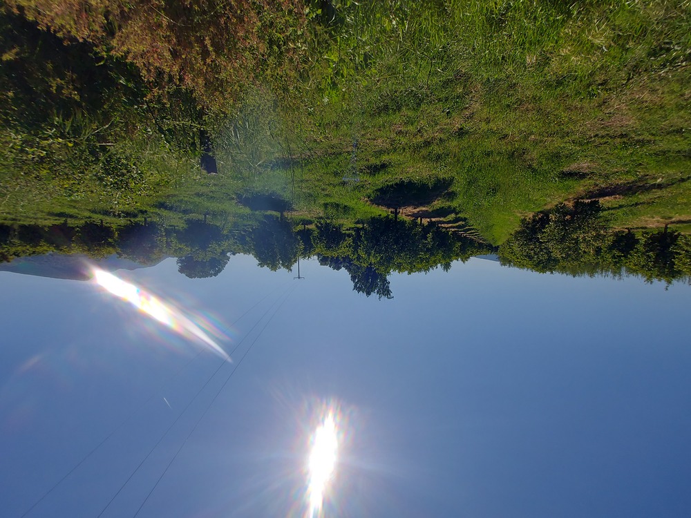photo0