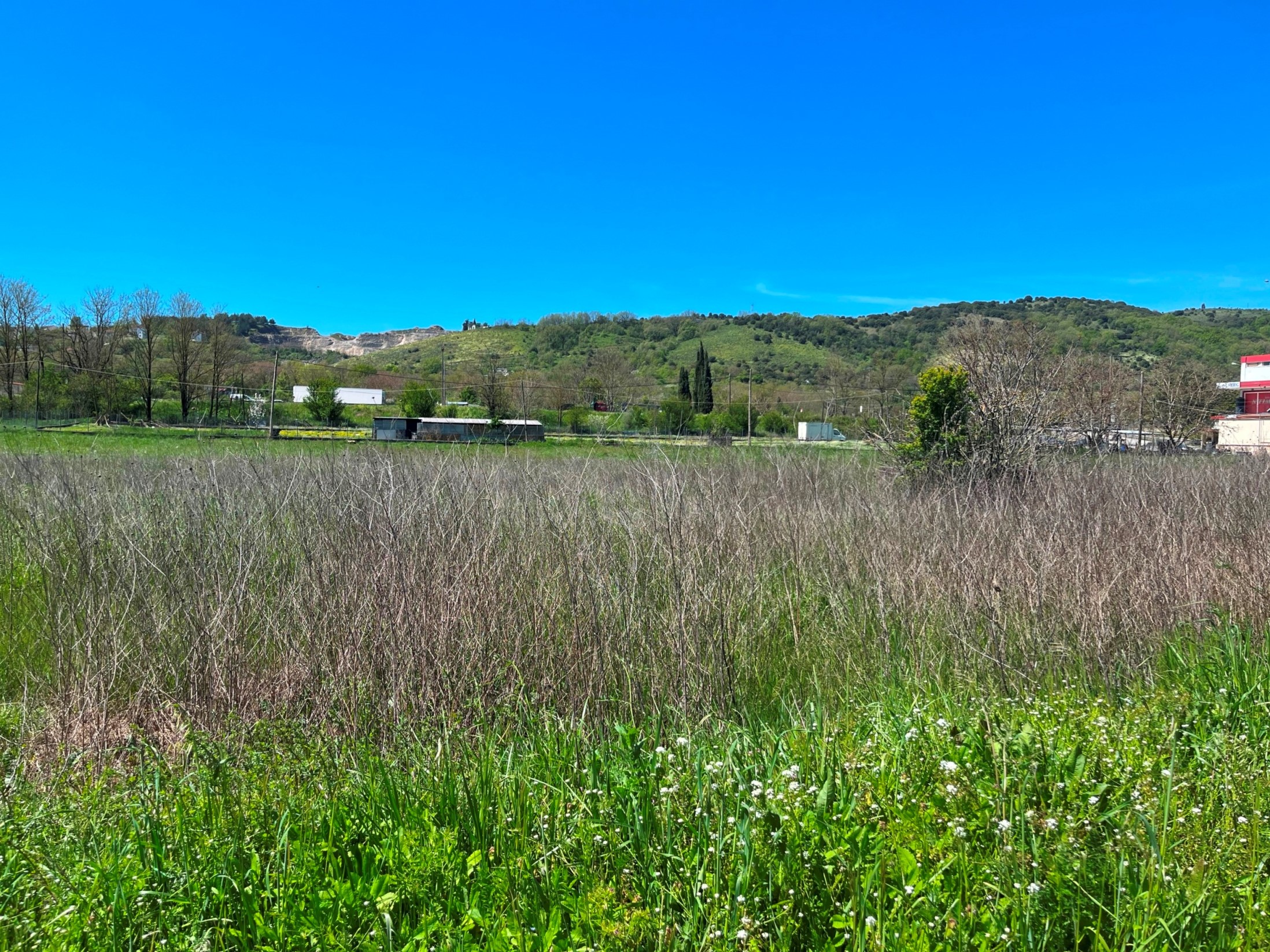 photo13