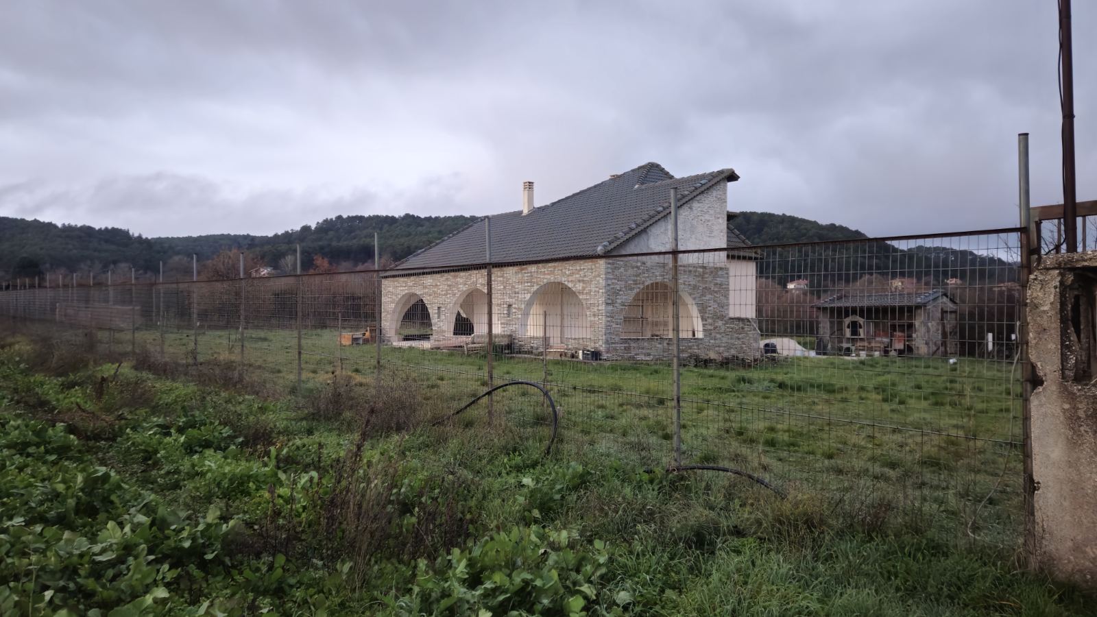 photo1
