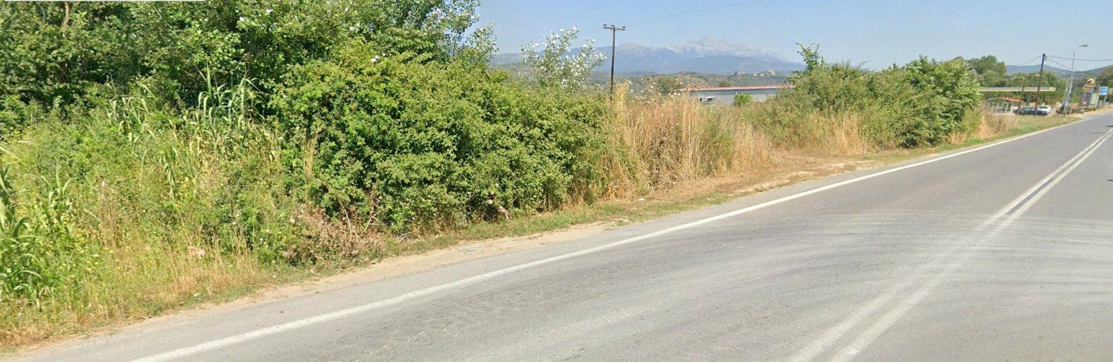 photo8