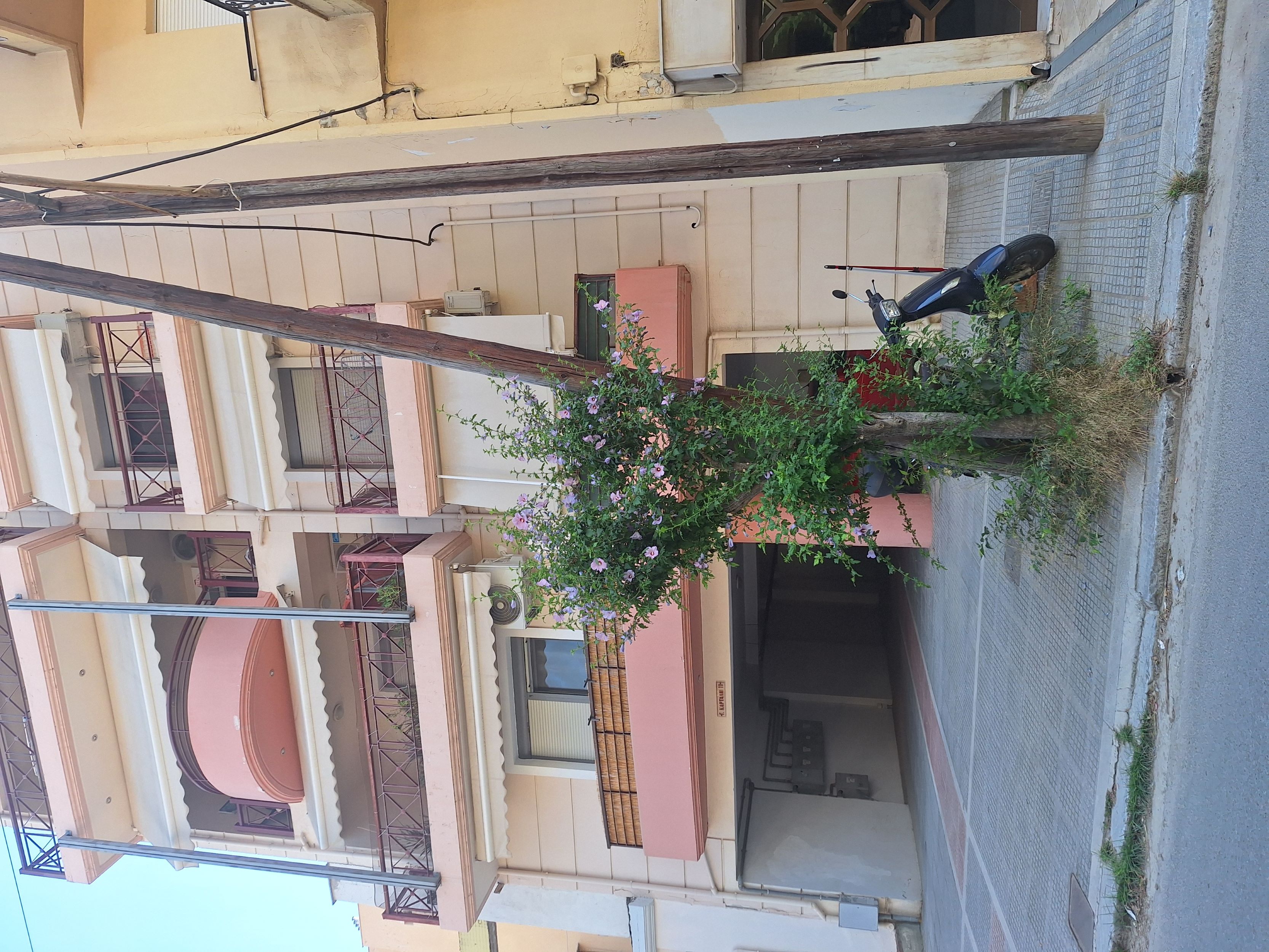 photo2