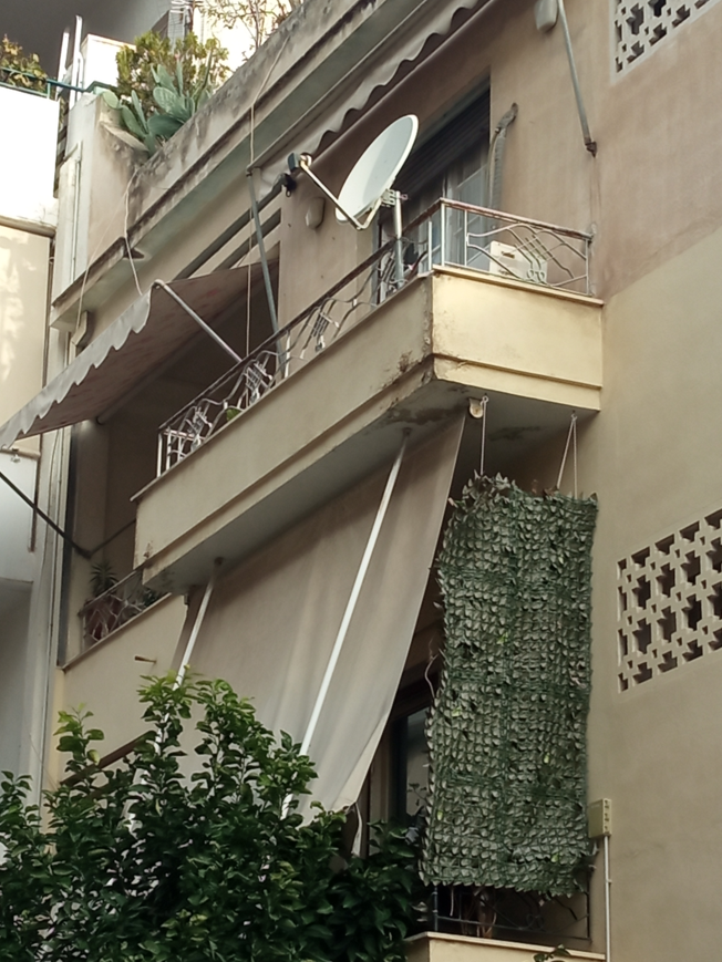 photo1