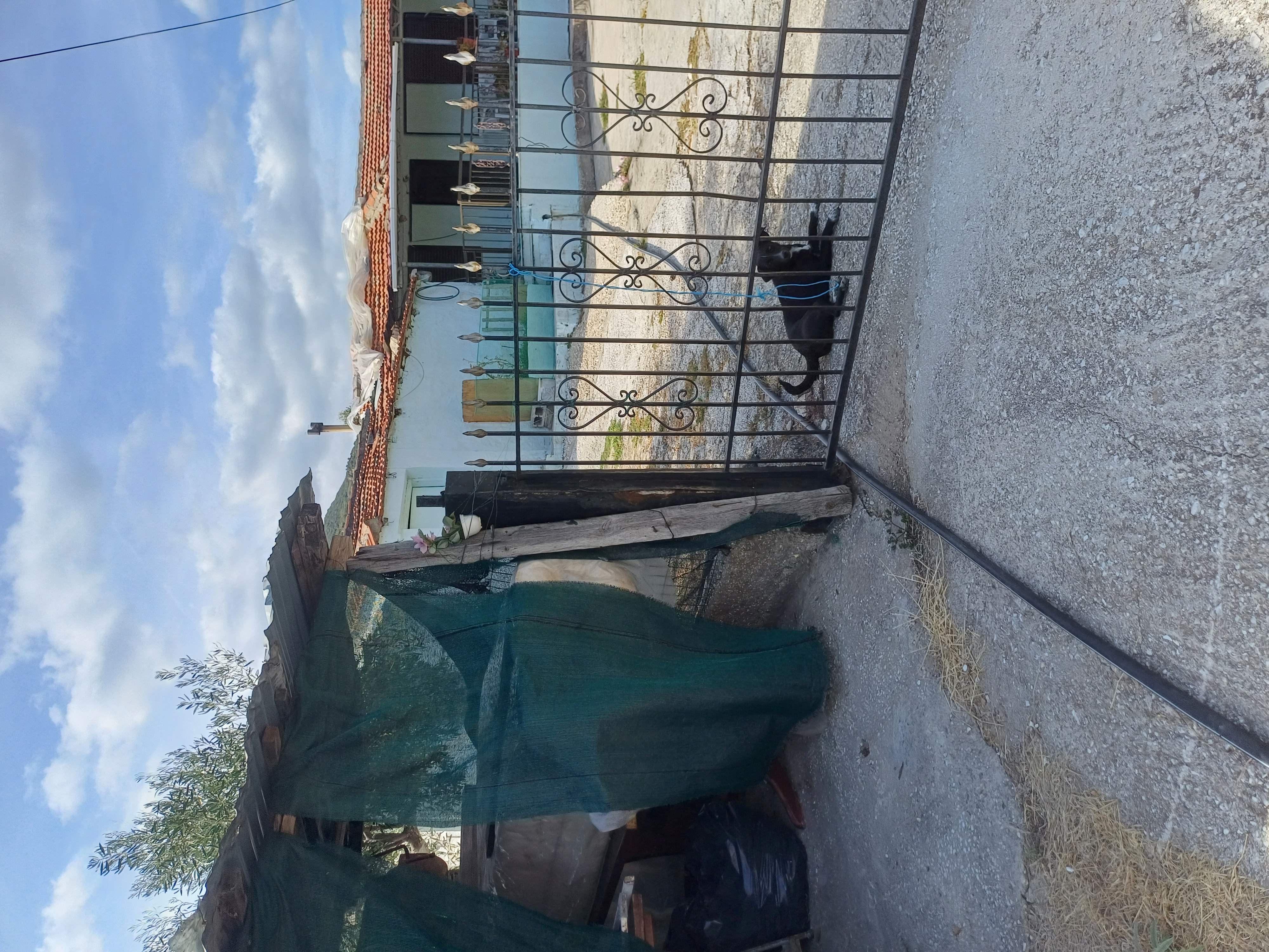 photo0