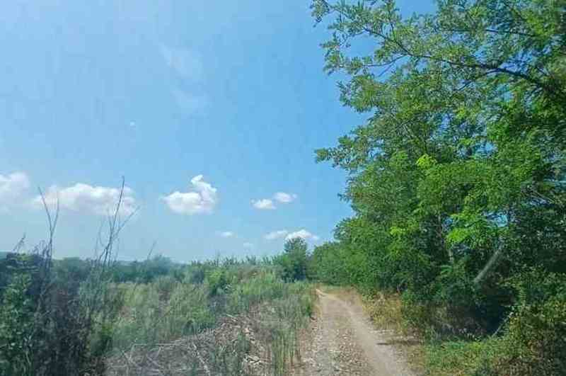 photo1