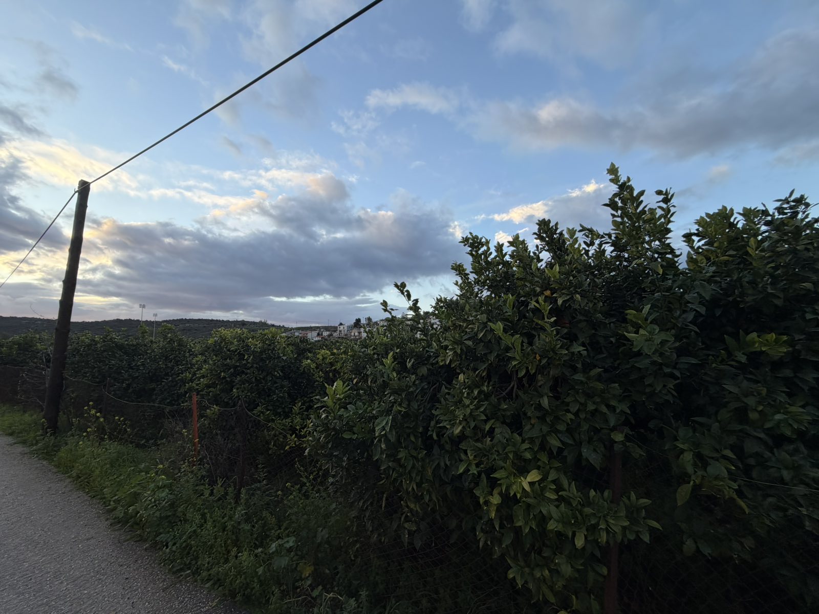 photo6