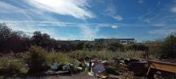 photo4