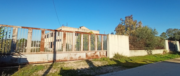 photo1