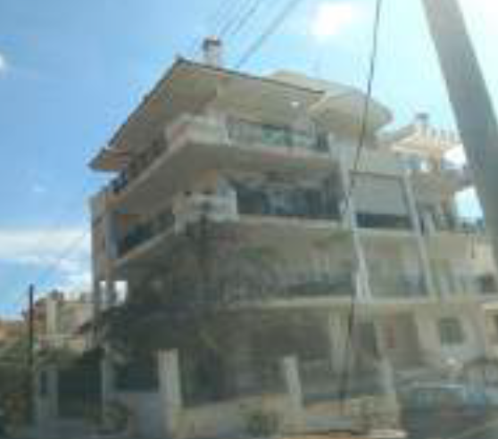 photo1