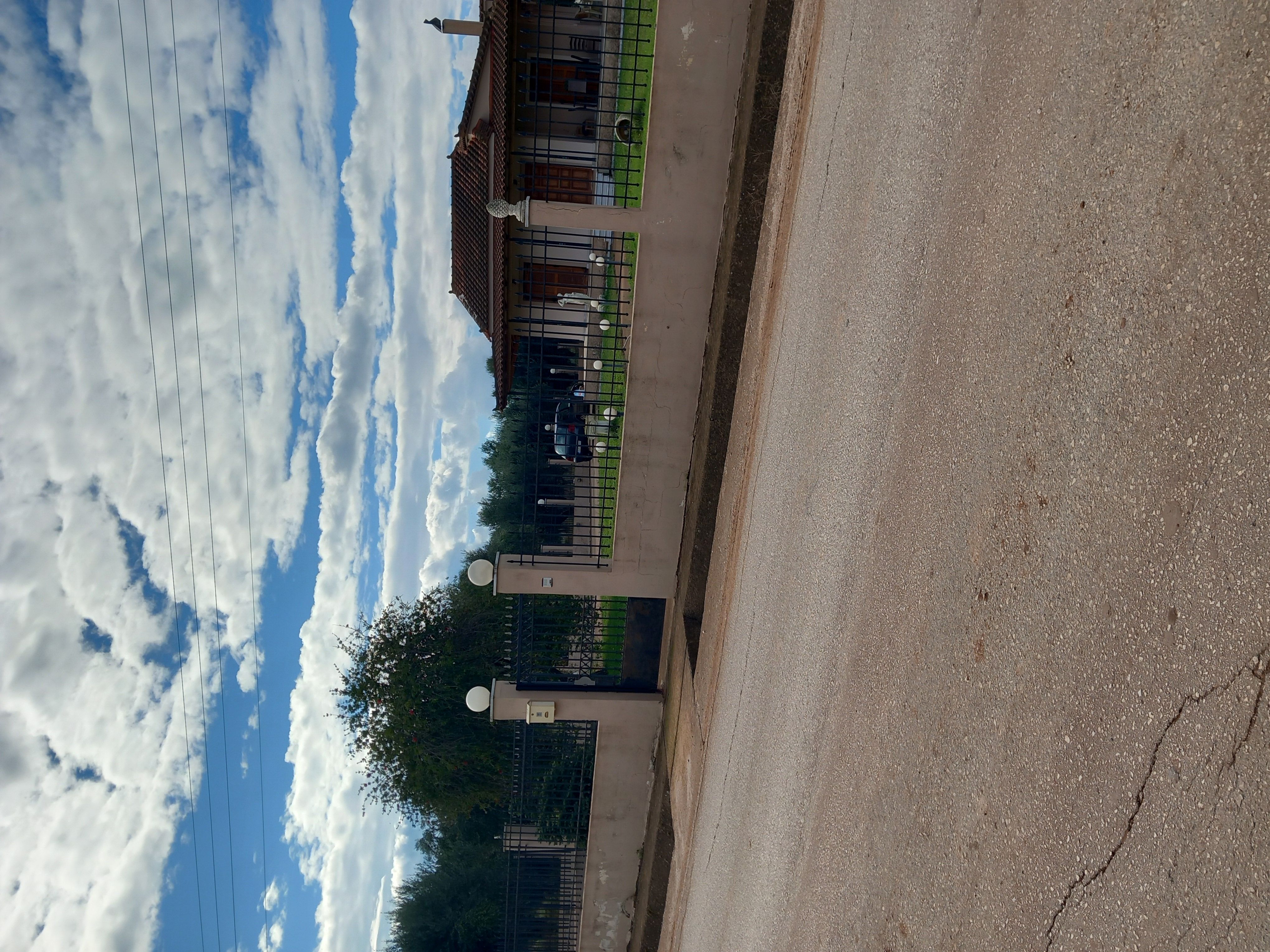 photo1
