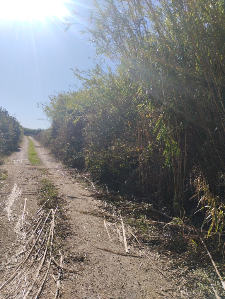 photo0