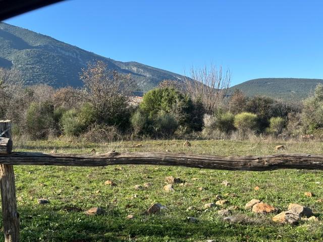 Αγροτεμάχιο με κτίσμα  σε πλειστηριασμό Δήμος Αμφίκλειας - Ελάτειας