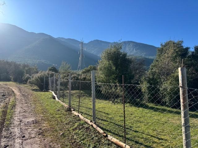 Αγροτεμάχιο  σε πλειστηριασμό Δήμος Αμφίκλειας - Ελάτειας