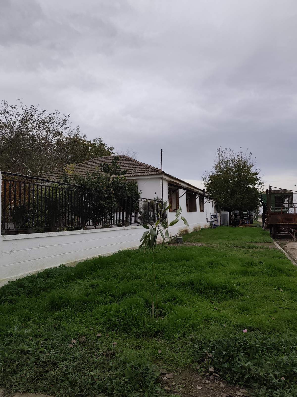 photo5