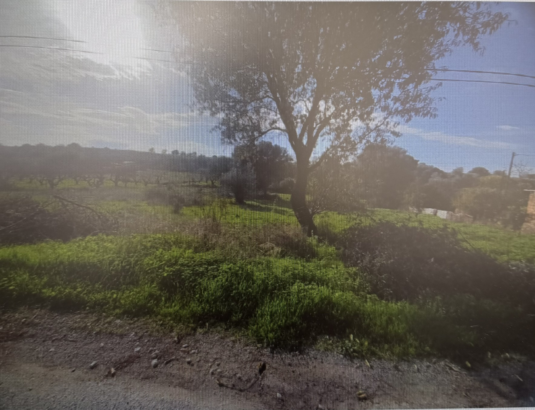 Αγροτεμάχιο 27 τ.μ. σε πλειστηριασμό Δήμος Χαλκιδέων