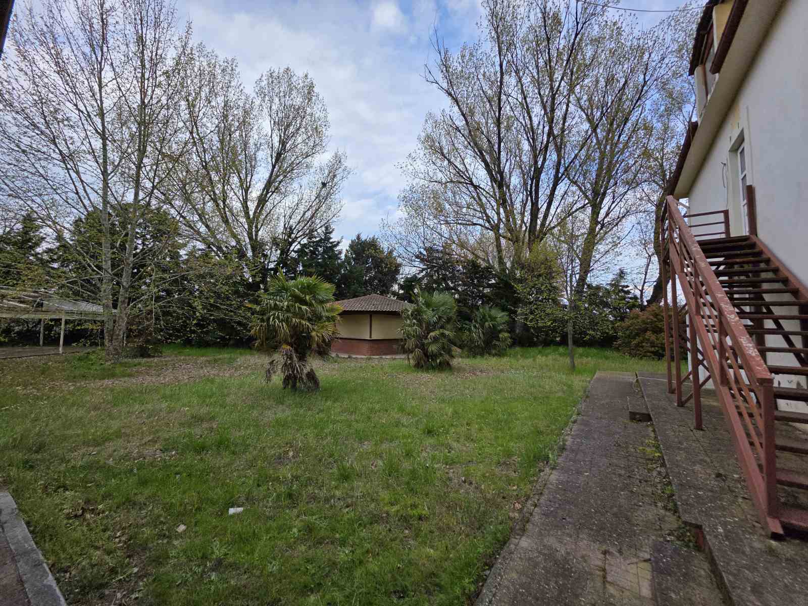 photo8