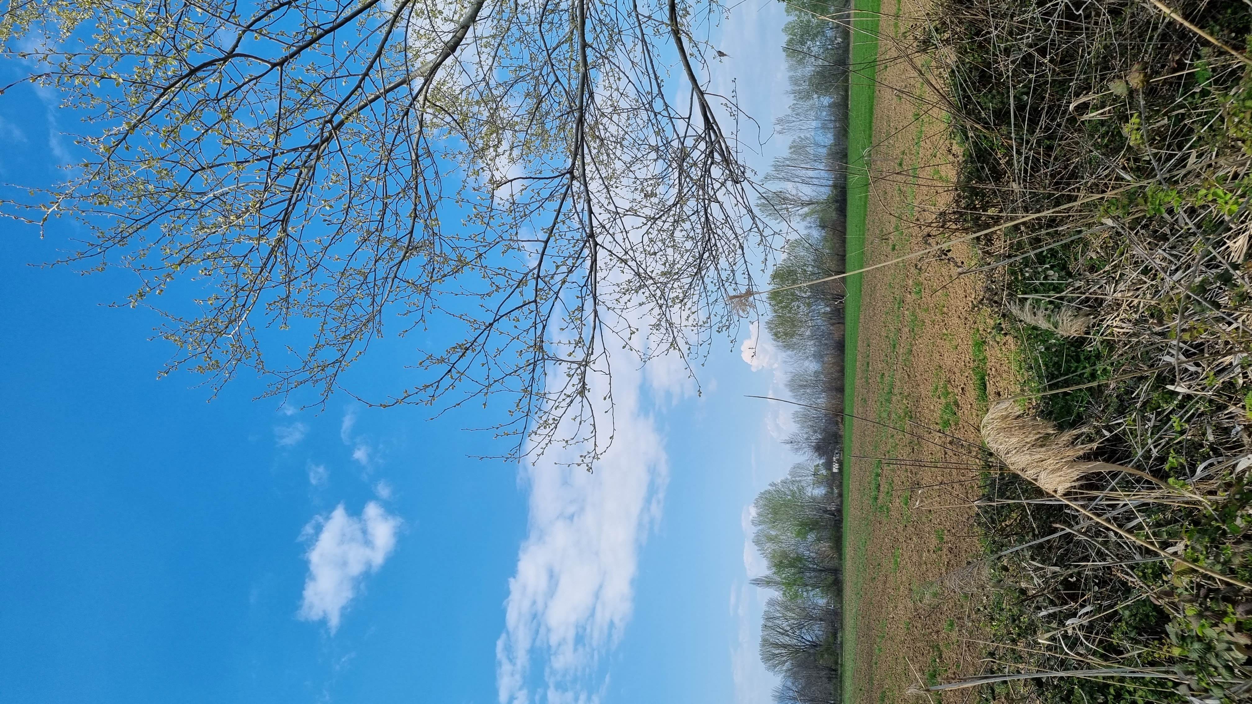 photo1