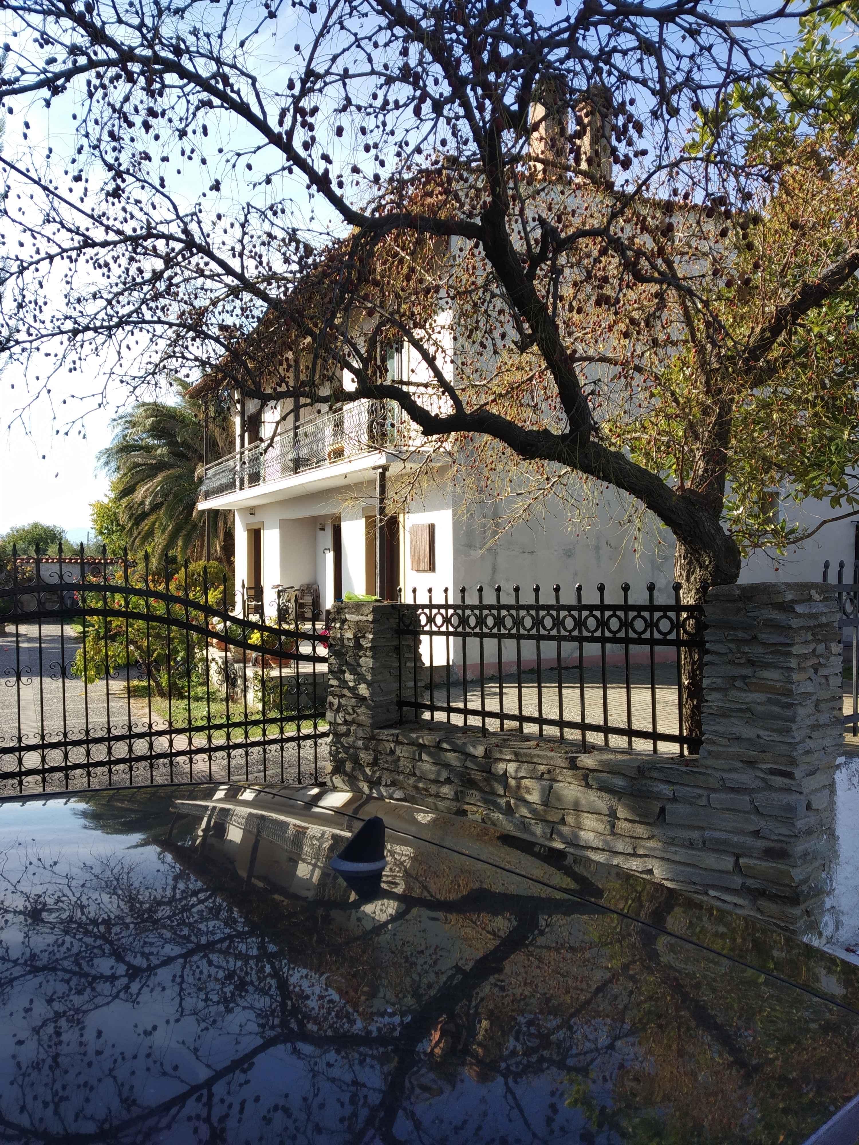 photo1