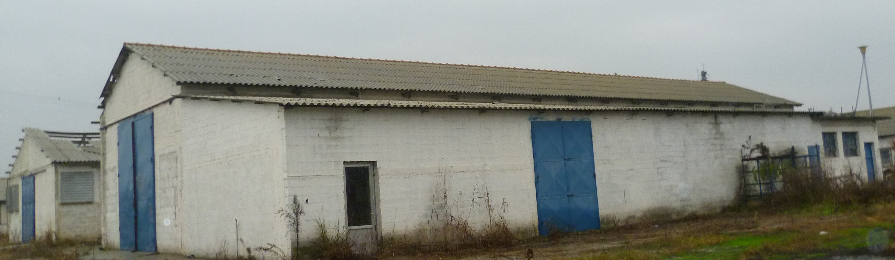 photo1