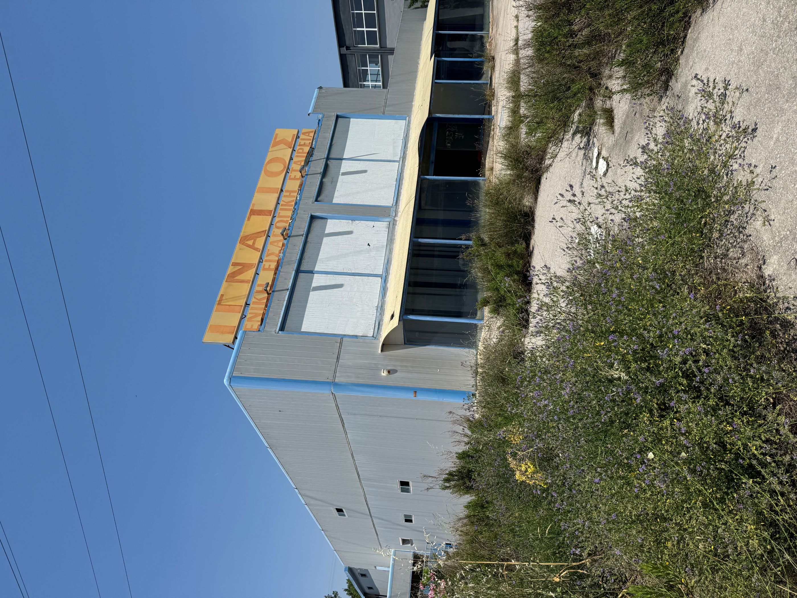 photo0