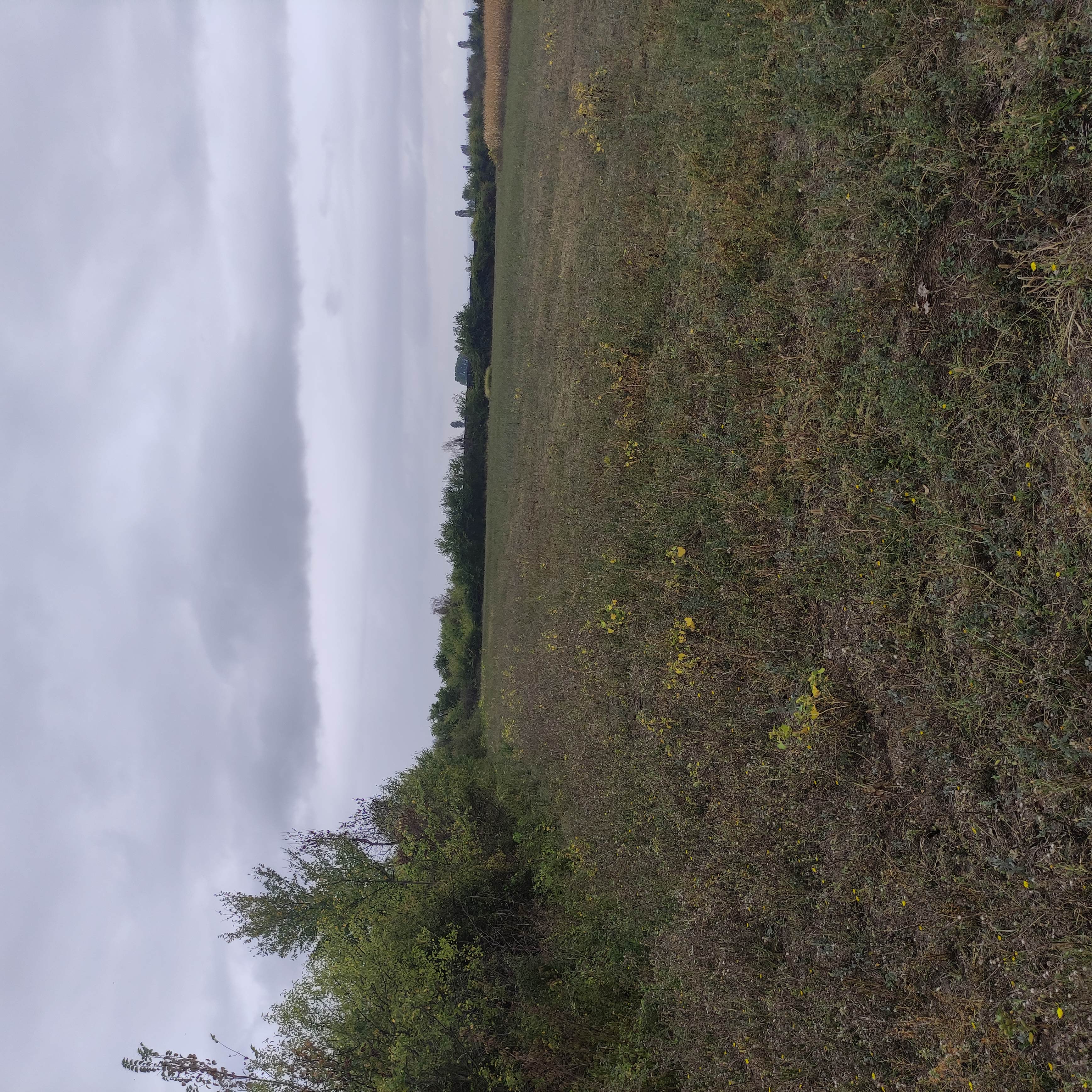 photo0