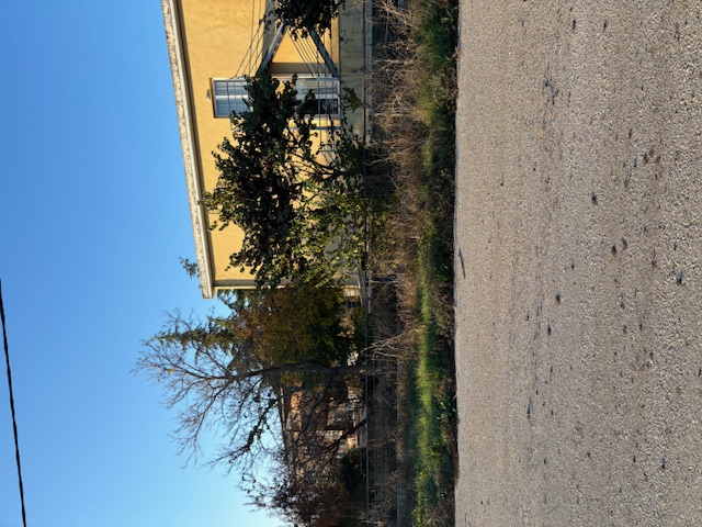 photo0