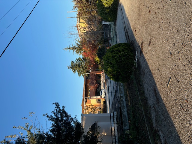 photo2