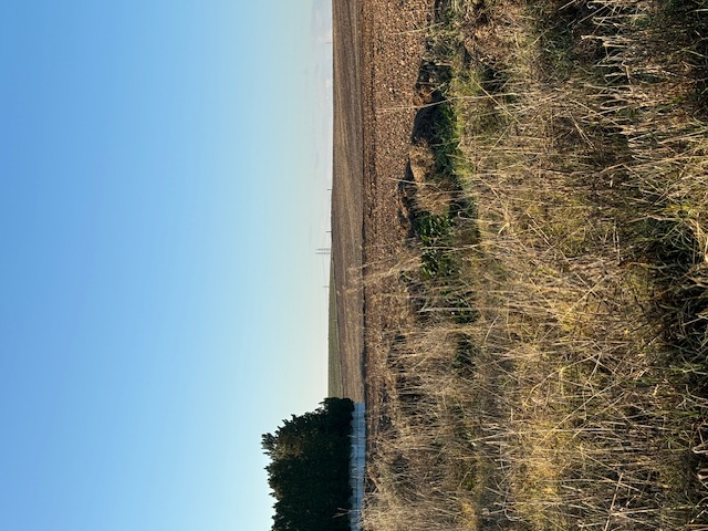 photo0