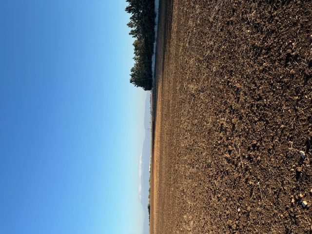 photo1