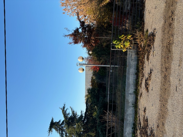 photo0