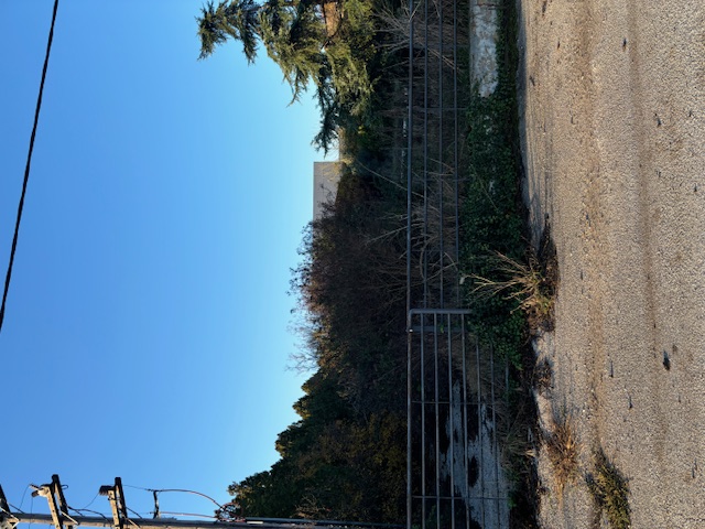 photo1