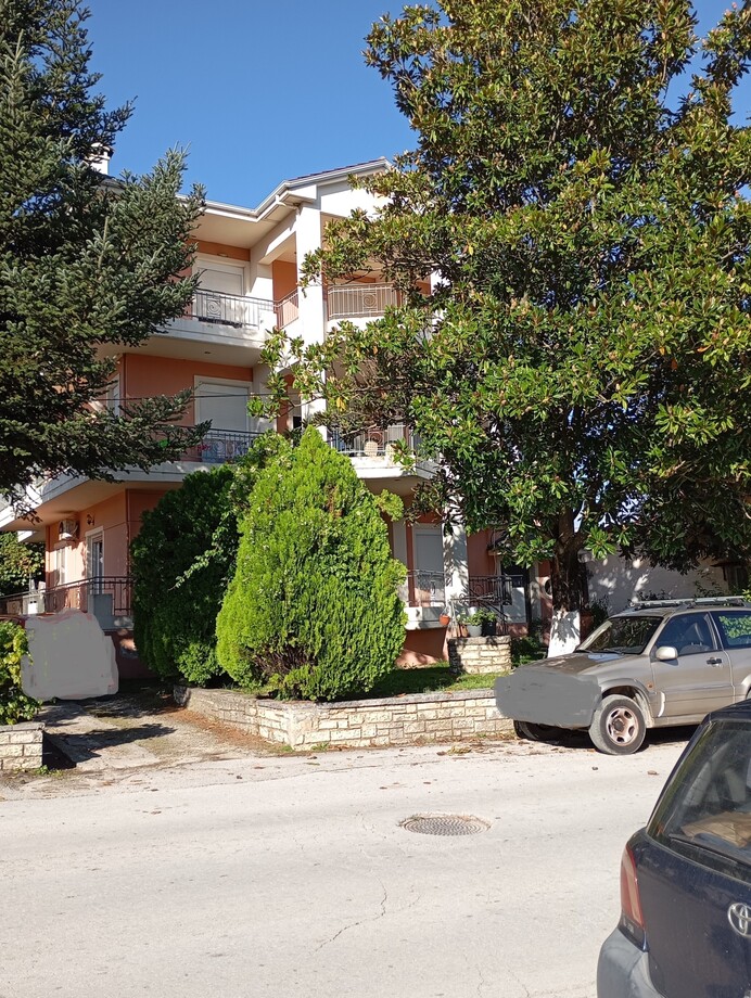 photo1