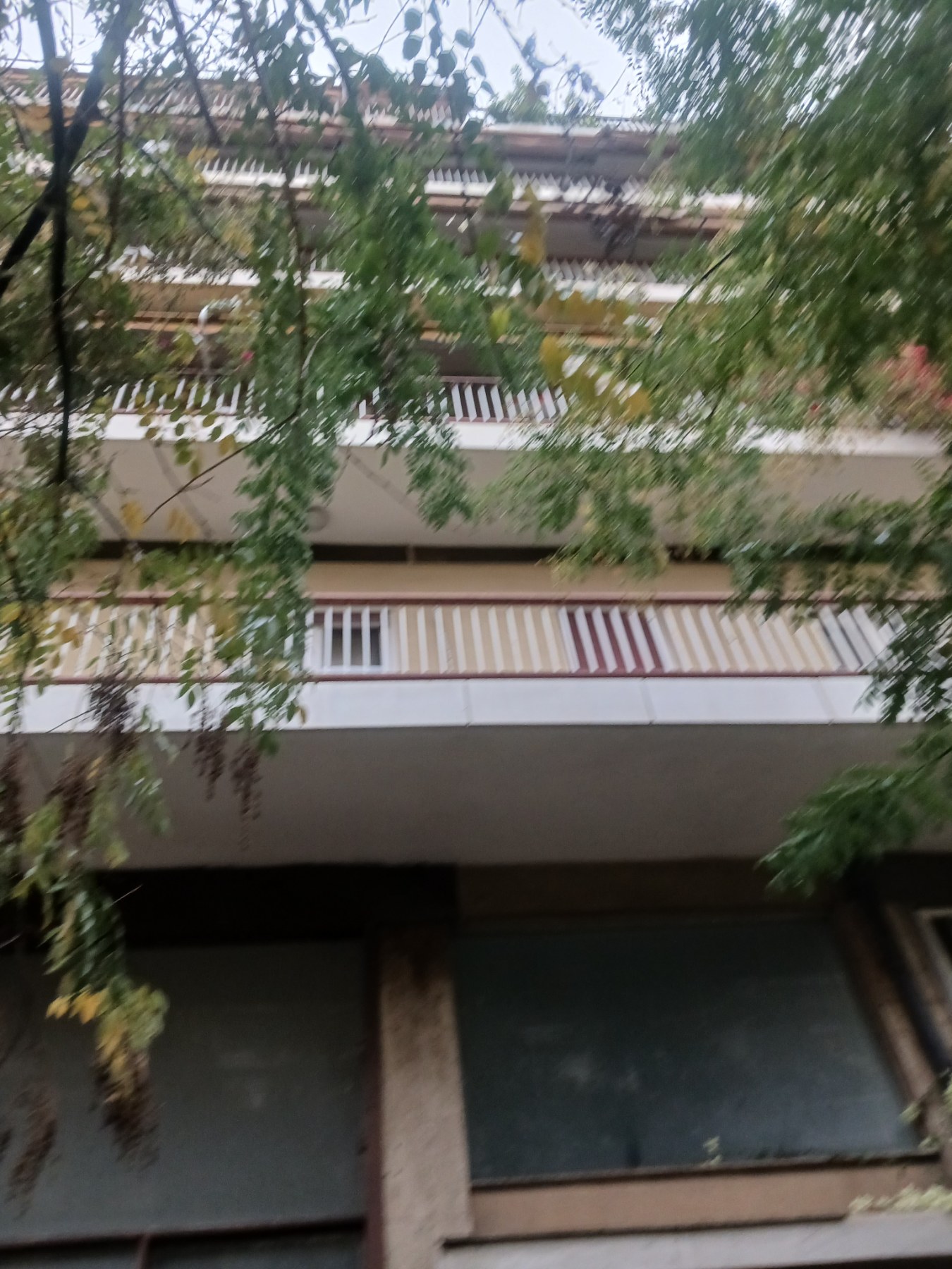 photo1