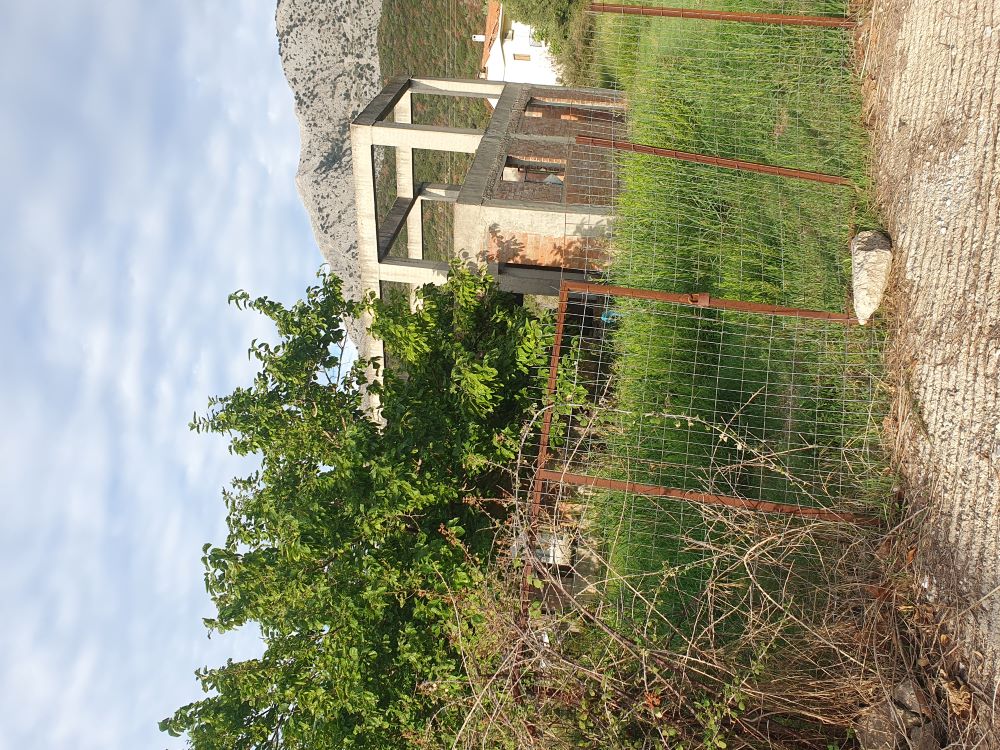 photo2