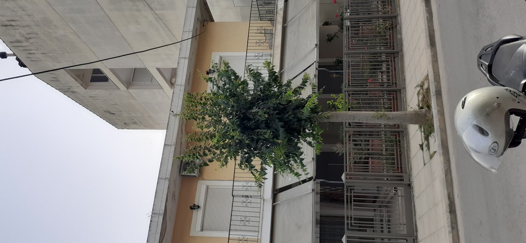 photo1