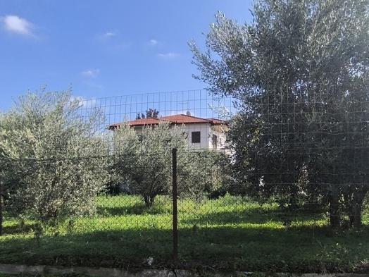 photo0