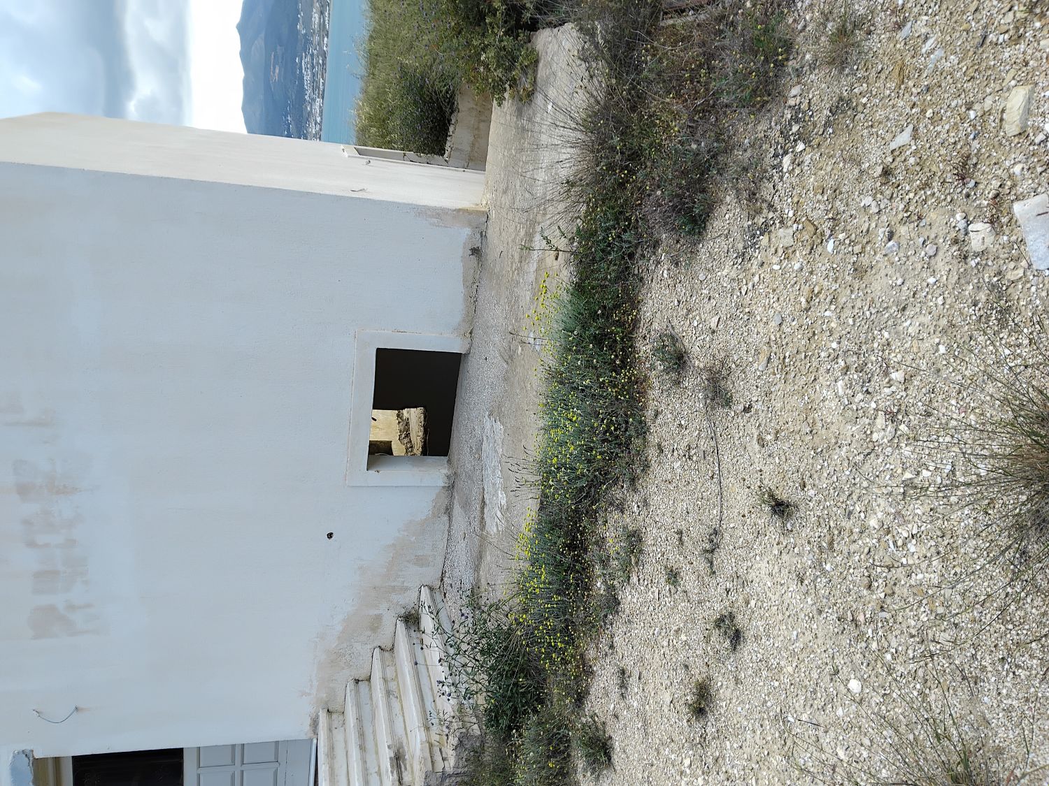 photo1