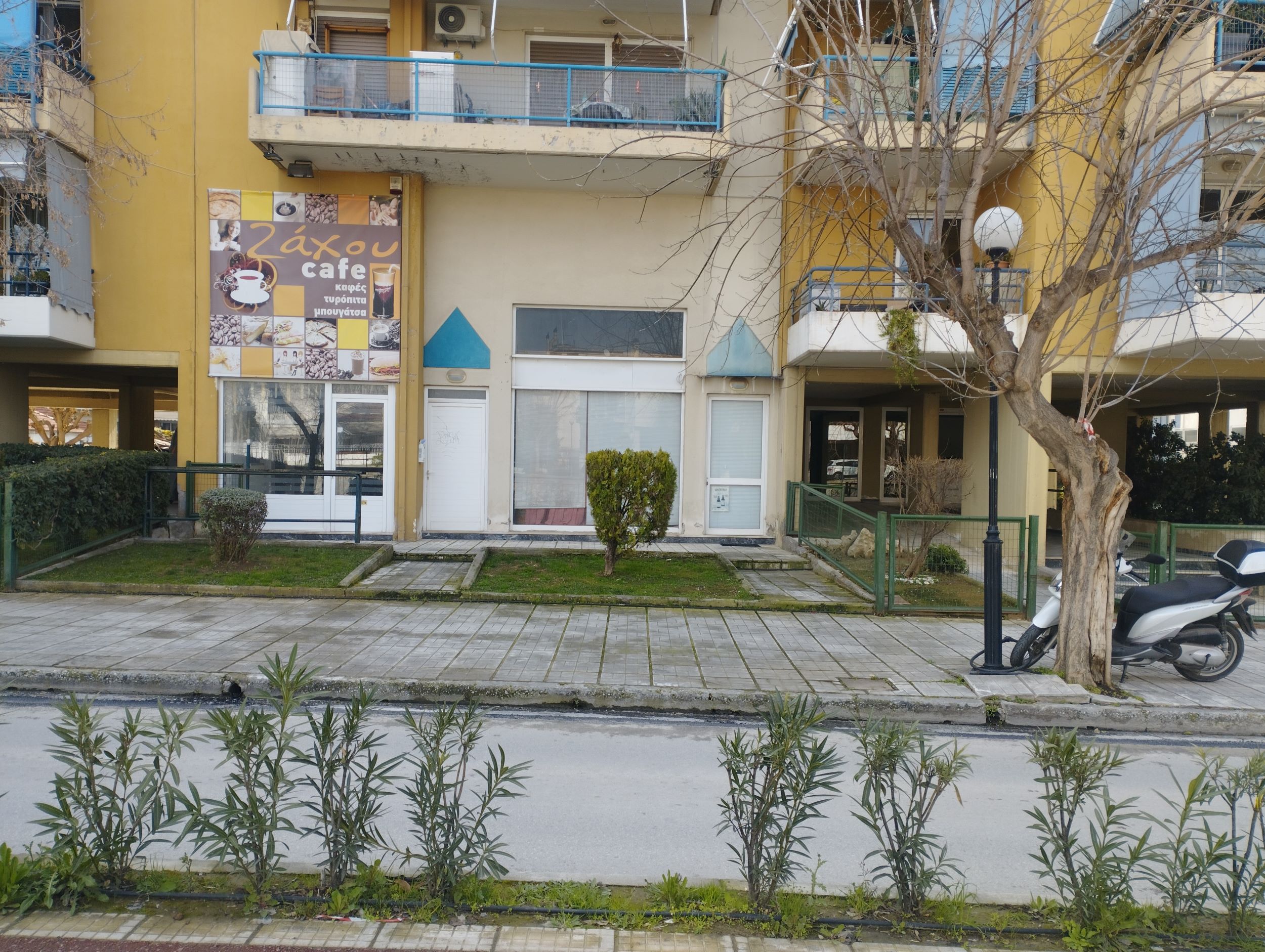 photo1