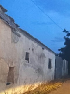 photomain