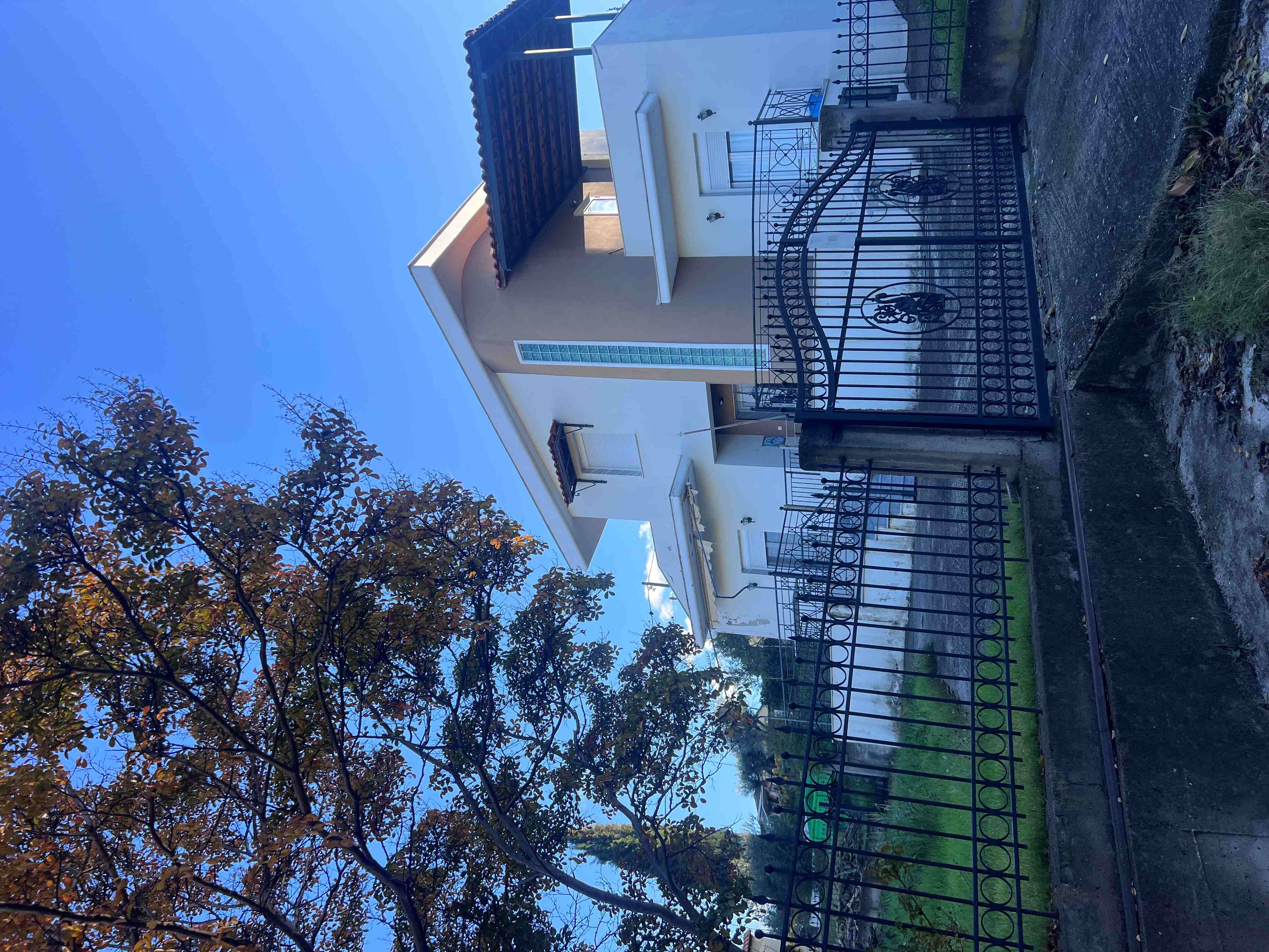 photo1