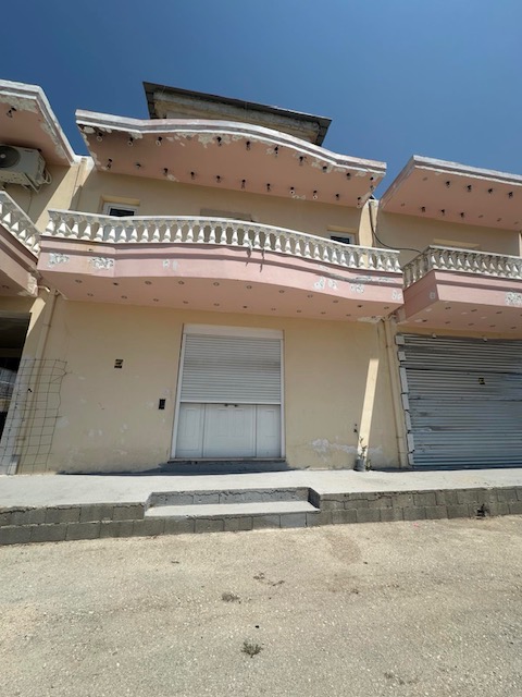 photo2