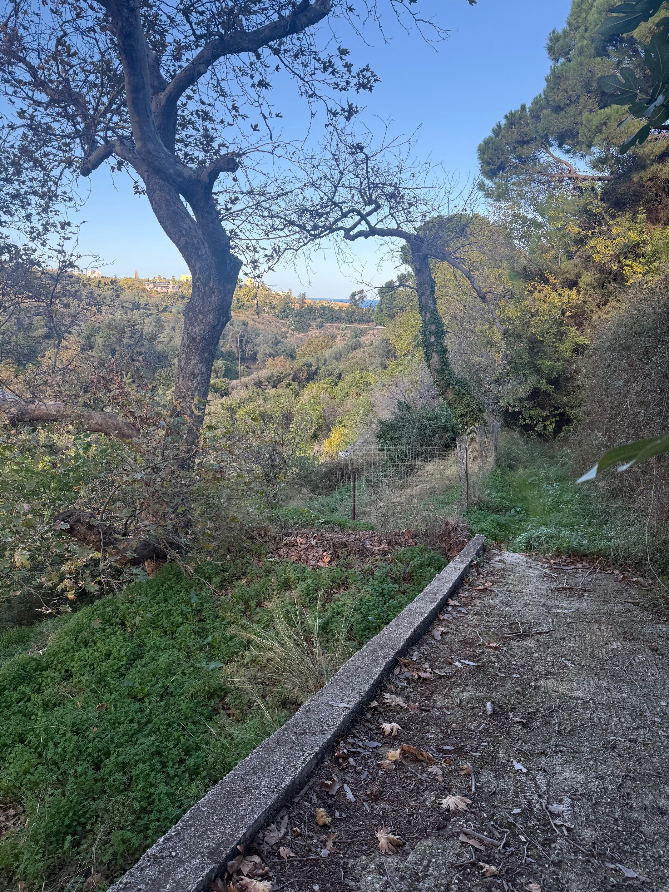 Αγροτεμάχιο  σε πλειστηριασμό Δήμος Χανίων