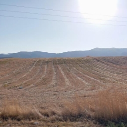 Αγροτεμάχιο  σε πλειστηριασμό Δήμος Κοζάνης