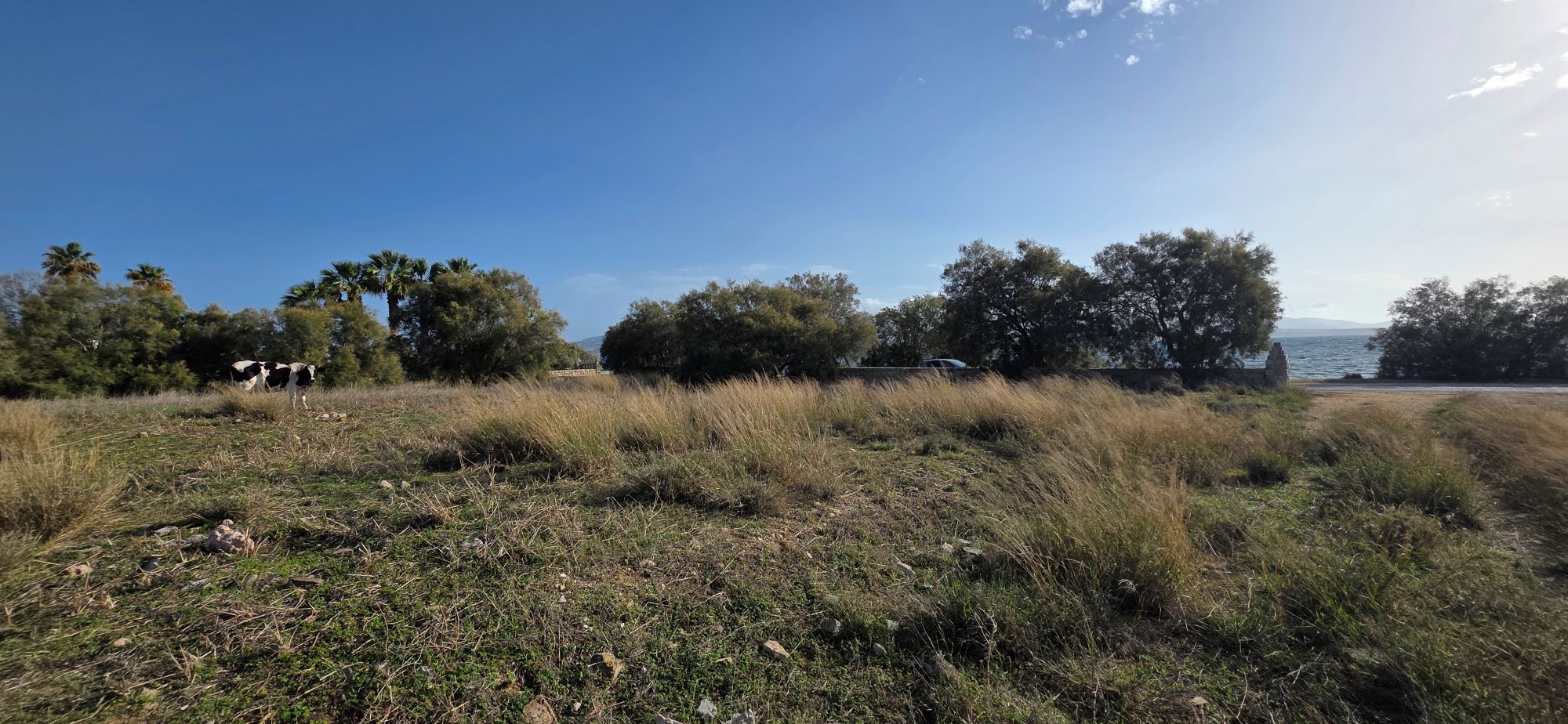 Αγροτεμάχιο 434 τ.μ. σε πλειστηριασμό Δήμος Αντιπάρου