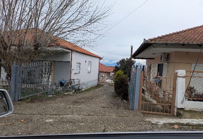 photo6